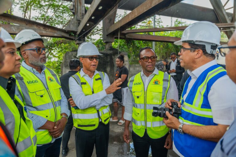 Expertos piden agilizar reparación en puente Francisco Del Rosario